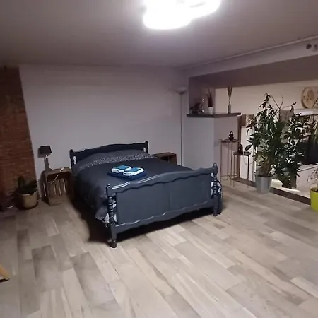 Cocoon Wellness Chimay