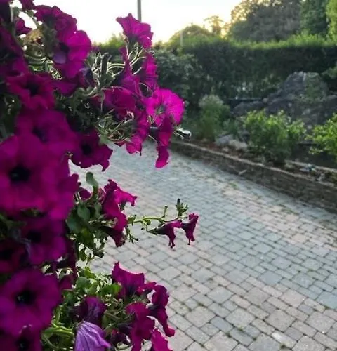 Cocoon Wellness Hébergement de vacances *